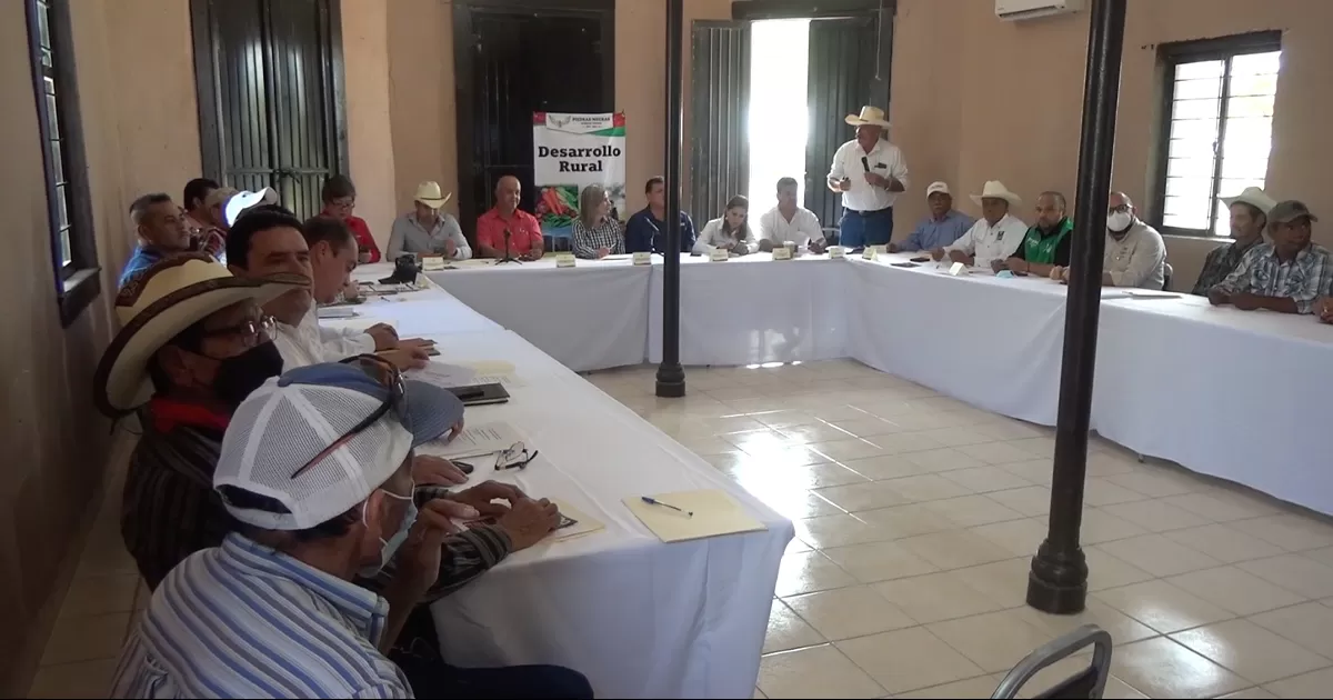 La alcaldesa establecio que se mantendran las atenciones en los ejifos de la ciudad.