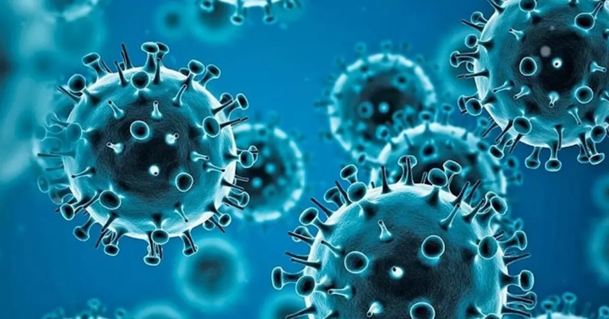 Este miÃ©rcoles se registraron dos decesos, los cuales, uno corresponde al municipio de TorreÃ³n y otro en Sabinas