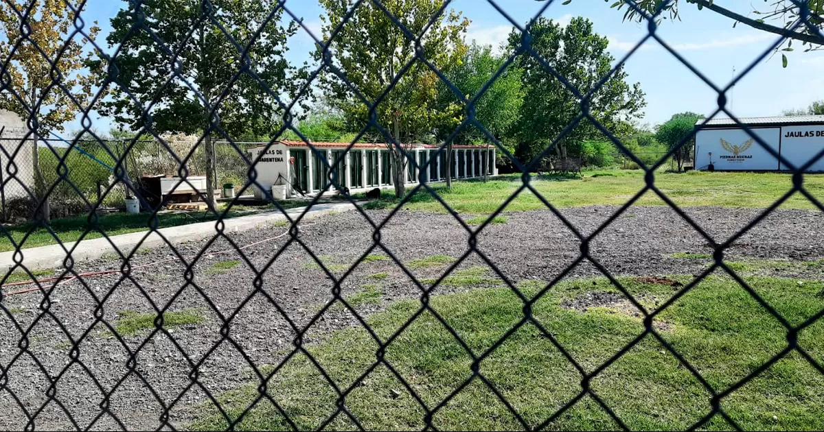 Los animales estarÃ¡n diez dÃ­as en observaciÃ³n para descartar alguna enfermedad.