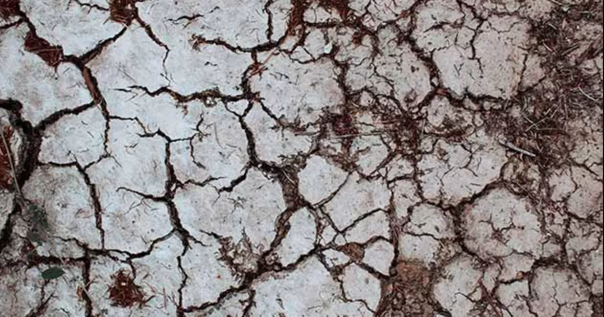 Conagua detallÃ³ en el DOF que diversas cuencas del paÃ­s tienen sequÃ­a en sus modalidades de severa, extrema o excepcional