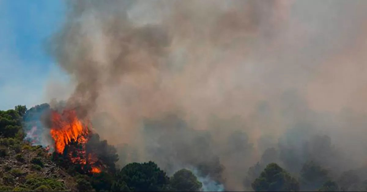 España lucha contra el fuego con temperaturas de hasta 42 grados