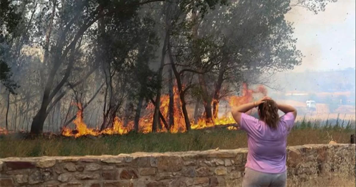 Los incendios han arrasado, al menos 25 mil hectÃ¡reas, un balance al que hay que sumar pueblos enteros evacuados.
