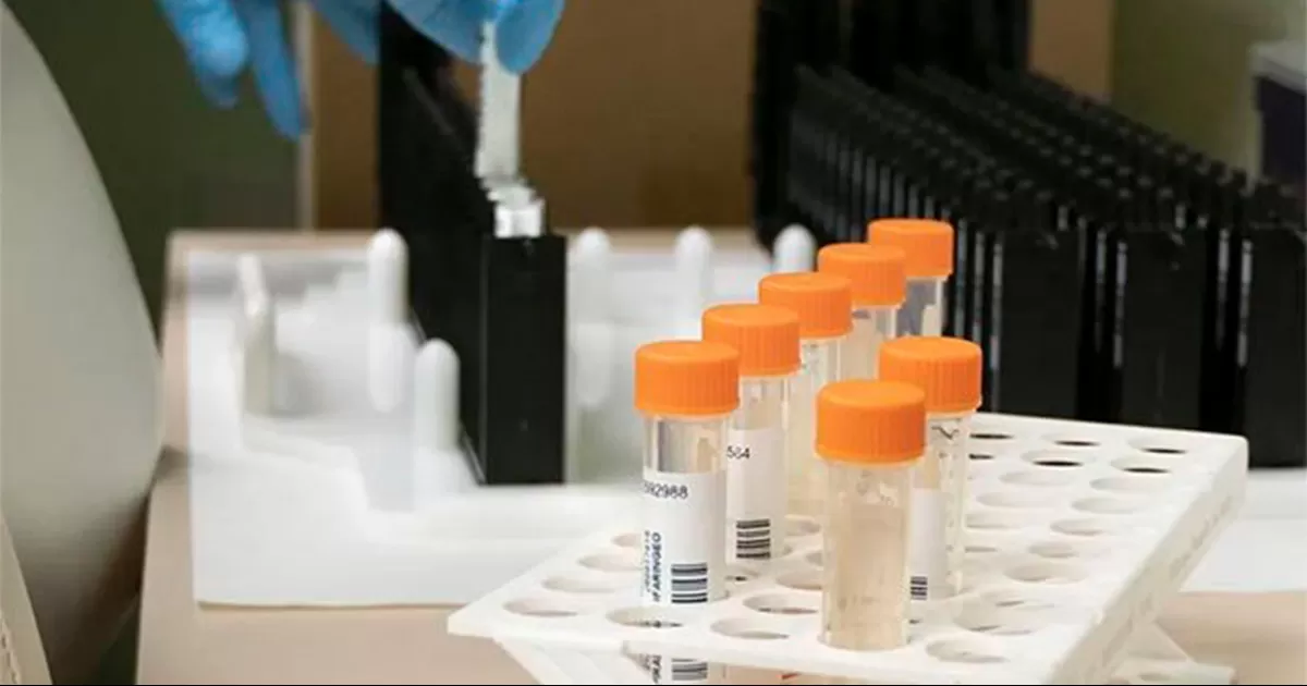 Mas-Coma ha pedido implementar sistemas de vigilancia aunque eso signifique "esfuerzo y dinero".