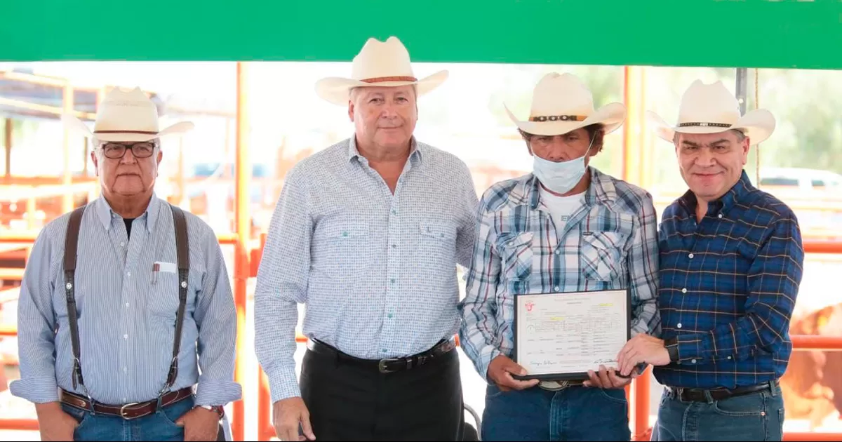 En cinco aÃ±os, la AdministraciÃ³n de Miguel Riquelme habrÃ¡ entregado 1,500 sementales.