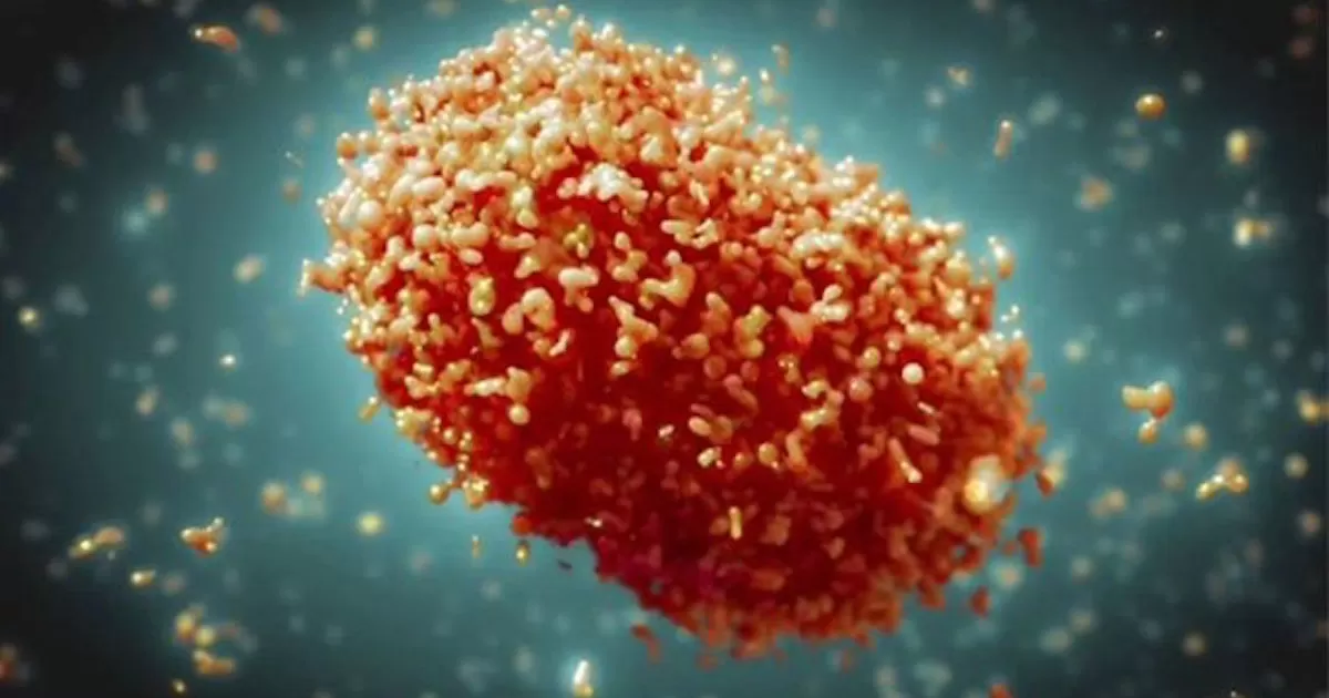 Al momento, hay unos 14 mil casos declarados ya en mÃ¡s de 70 paÃ­ses en los Ãºltimos cuatro meses