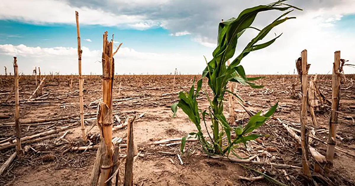 Localizan cada vez mÃ¡s tomas clandestinas del vital lÃ­quido