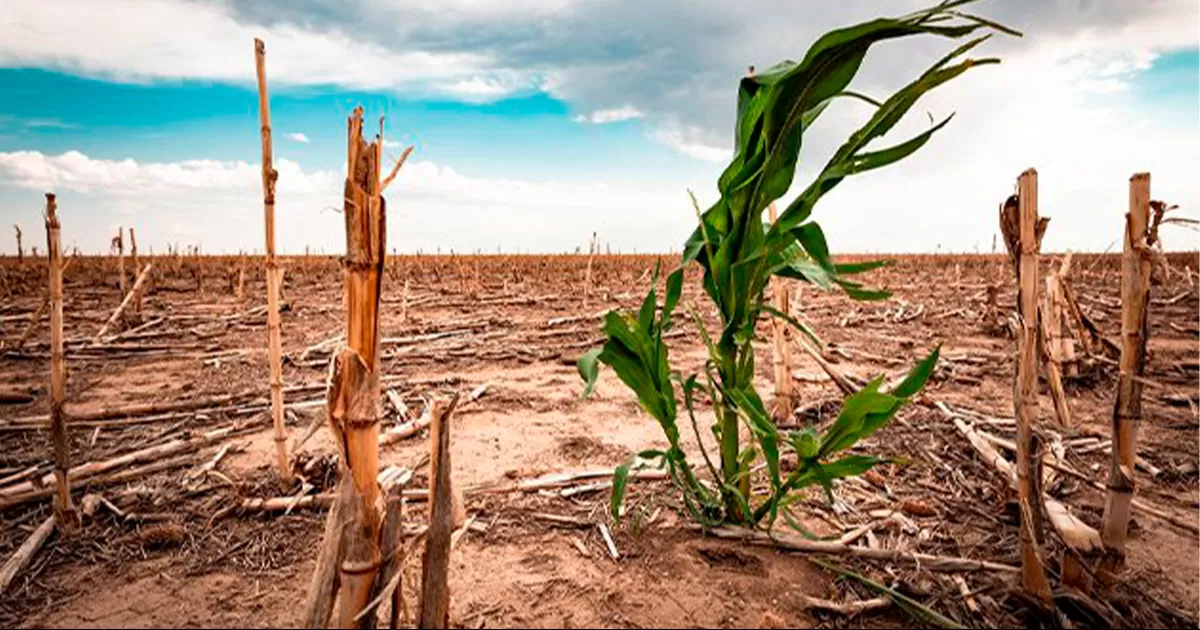 Empieza la lucha por el agua, presenta 99% de Coahuila sequía