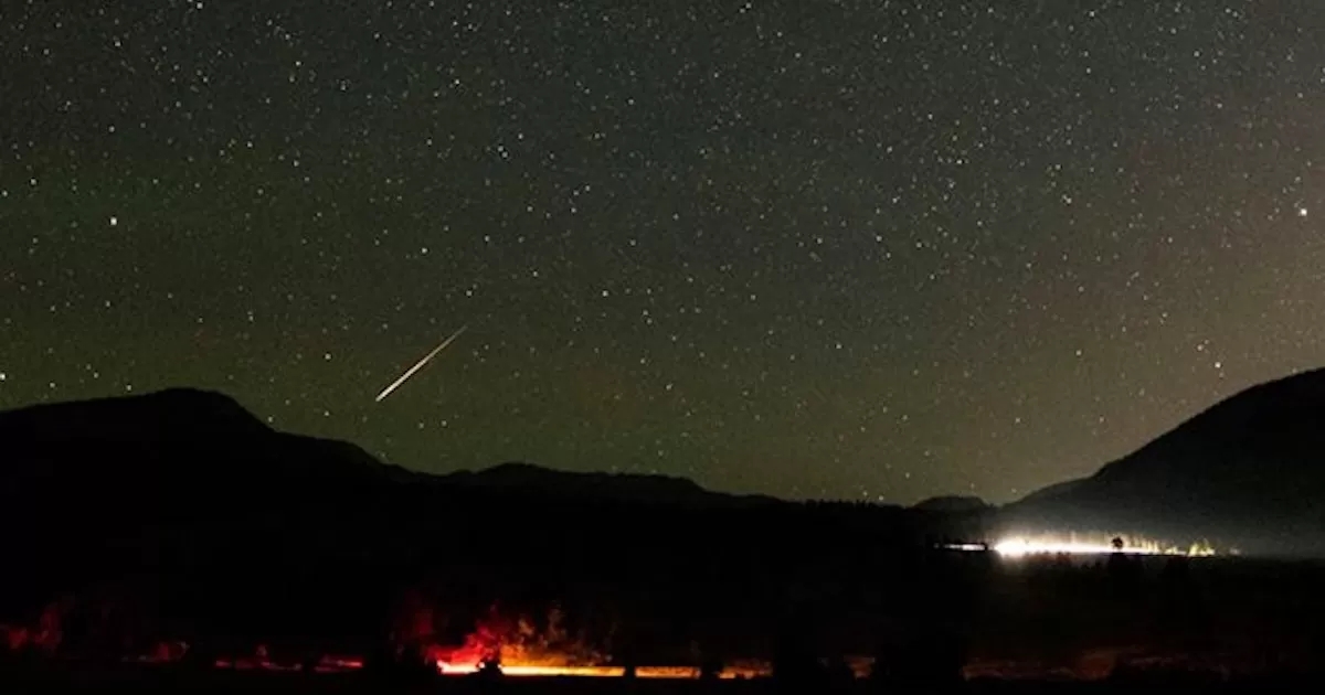 La AMS destaca que este tipo de situaciones son sumamente comunes, sin embargo, en muchos de los casos las personas no se dan cuenta de ellas