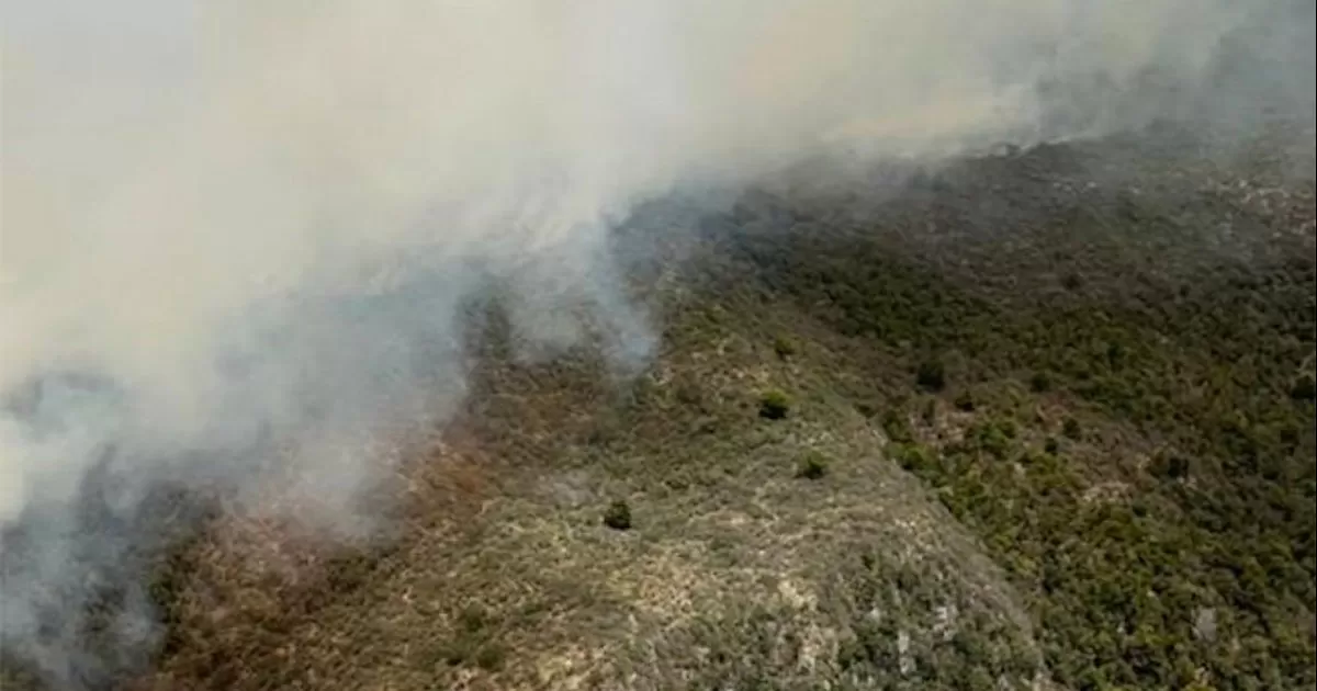 Brigadistas de la ciudad de Saltillo ya se encuentran en el lugar