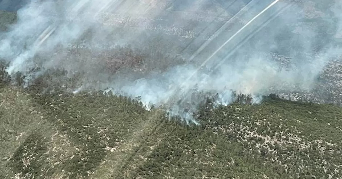 Se extiende incendio forestal hacia Serranía del Burro en Múzquiz y Zaragoza