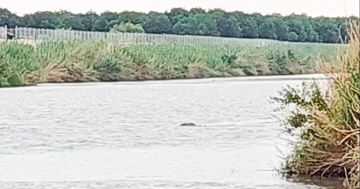 Los cuerpos de las personas fueron localizadas y todo hacÃ­a indicar que se trataba de migrantes que intentaban cruzar a los Estados Unidos.