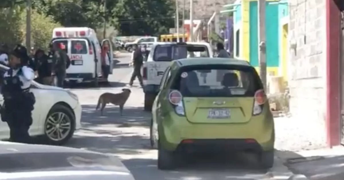 En Parras, hombre mata a su pareja y acusa a su mascota del crimen