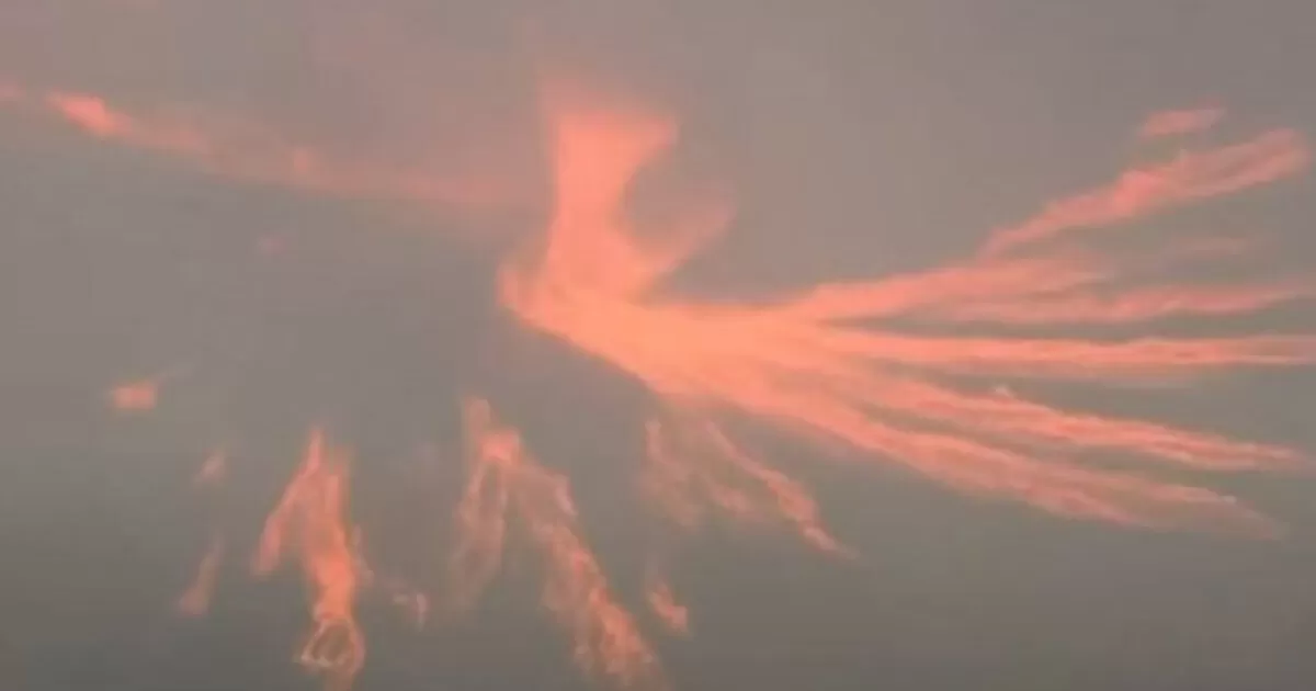 VIDEO: Captan aterrador tornado de fuego en Estados Unidos