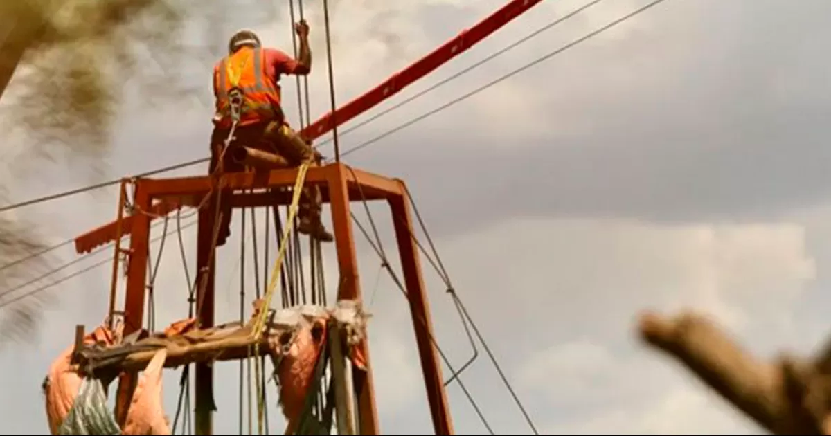 Externaron que se trata de un muchacho del pueblo, mientras que dos personas, padre e hijo, habrÃ­an recibido mÃ¡s de 350 mdp en contratos con CFE.