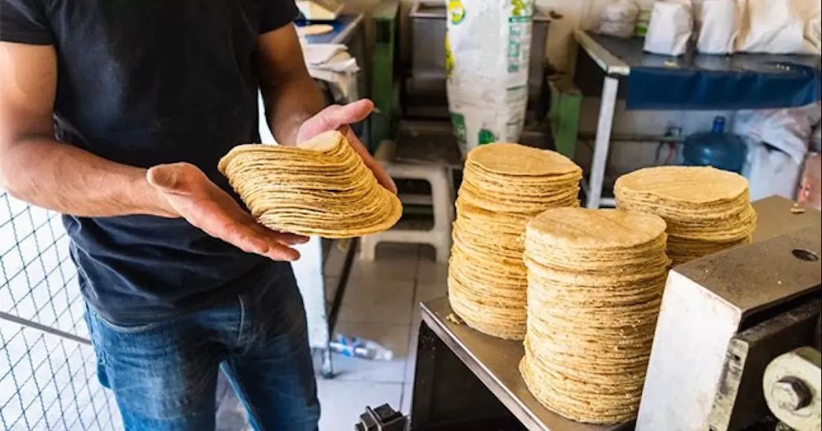 La Profeco manifestÃ³ que el costo de la tortilla presentÃ³ una ligera baja en el promedio nacional en tortillerÃ­as