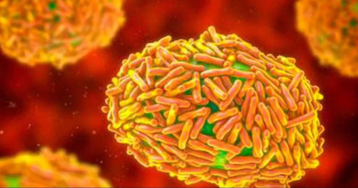 OMS investigará posibles mutaciones de viruela del mono