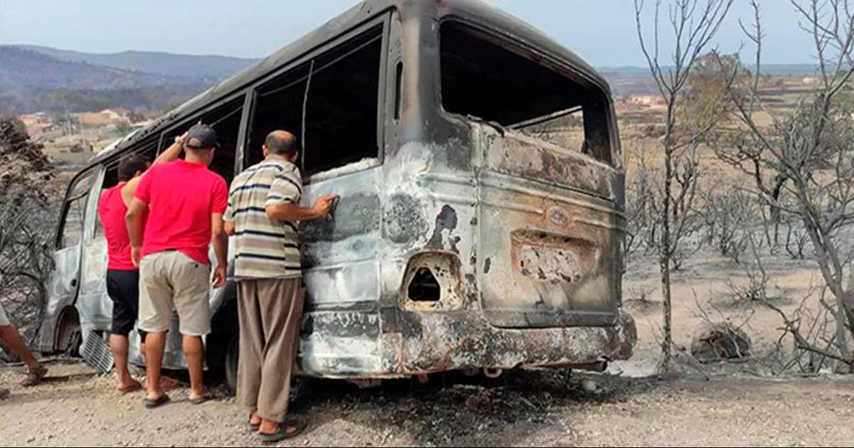 Suben a al menos 37 los muertos por los incendios forestales de Argelia