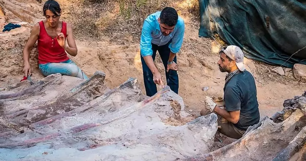 Hallan en Portugal un enorme dinosaurio saurópodo del periodo Jurásico