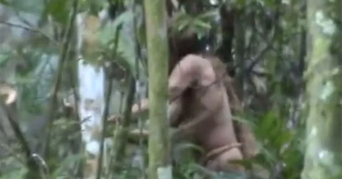 Un hombre que se cree que era Ãºltimo sobreviviente de su comunidad indÃ­gena fue hallado muerto en la selva de Brasil