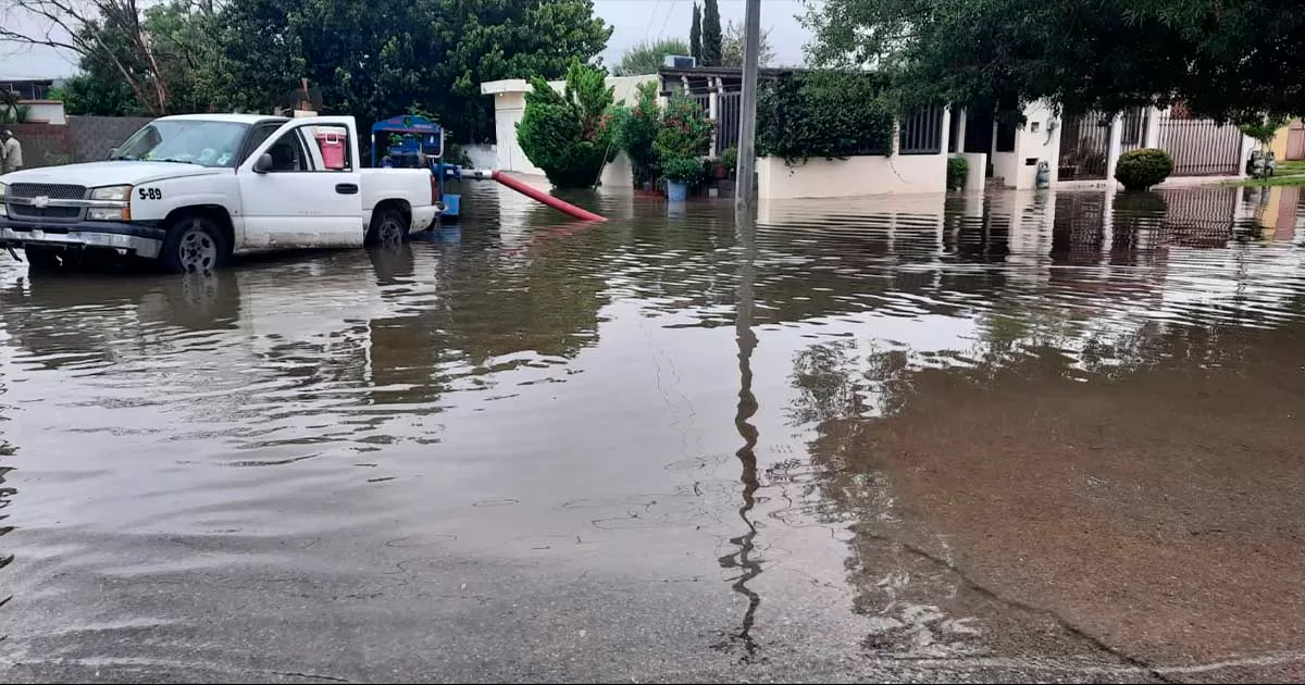 Alfredo Antonio Lucero Montemayor, estableciÃ³ que uno de esos sectores es la colonia El EdÃ©n, otro mÃ¡s la colonia Hacienda de Luna, tambiÃ©n las Malvinas ademÃ¡s de una parte de Palmas II.