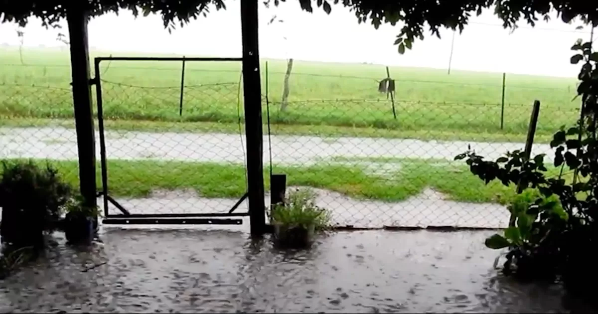 Luego de tres aÃ±os de intensa sequÃ­a, los productores rurales y agrÃ­colas del campo de Piedras Negras se han visto beneficiados con las lluvias.