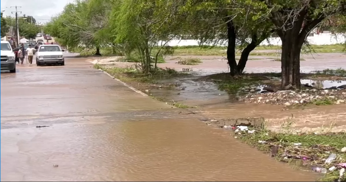 Las actividades en las que colabora el personal tienen que ver con encalar las calles, a travÃ©s de una maquina especial, donde haya una cantidad importante de lodo y con ello evitar la proliferaciÃ³n de enfermedades.