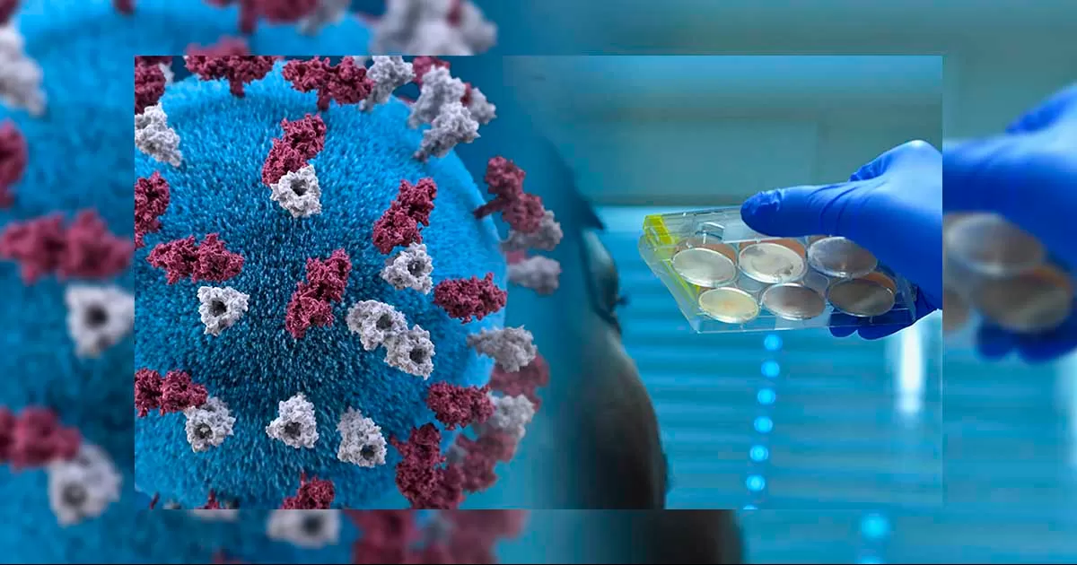 La tasa de positividad aumentÃ³ de menos del 20 % a mÃ¡s del 30 % en la Ãºltima semana.