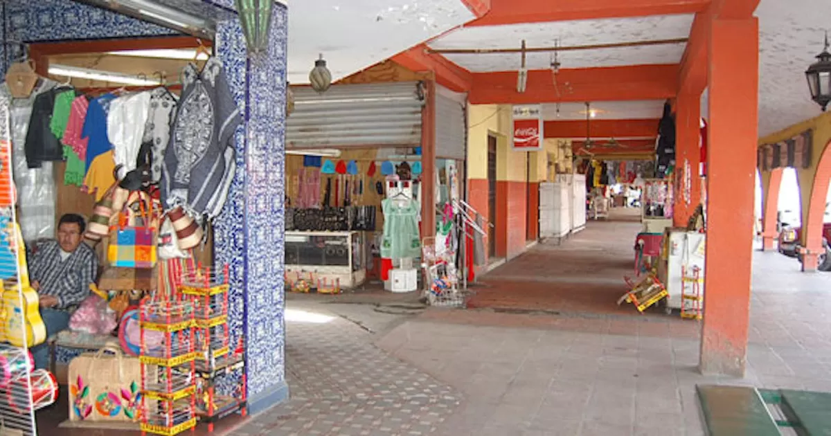 Resto del inmueble podrÃ­a contar con malla sombra