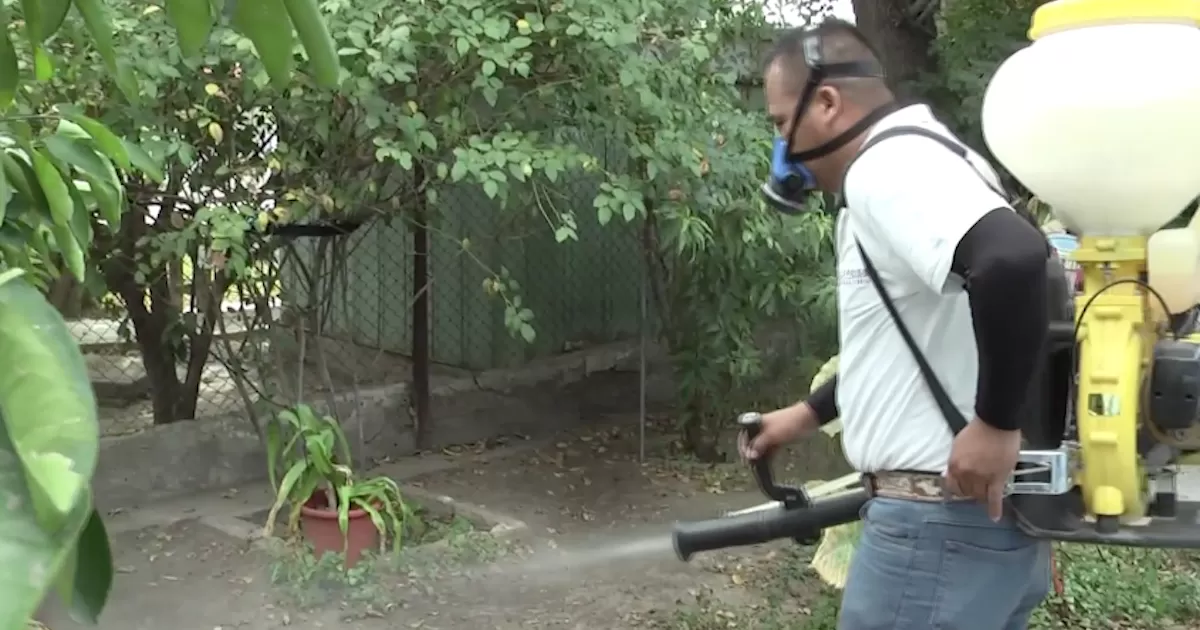 Departamento de Vectores tendrá que realizar segunda fumigación en algunas colonias