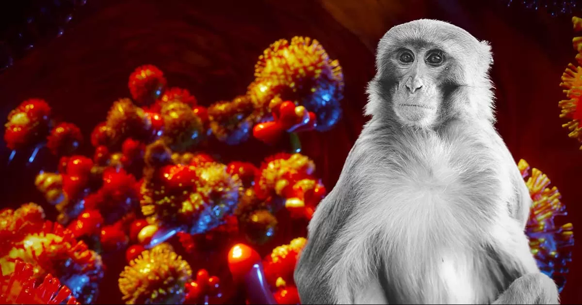 Confirma Secretaria de Salud de Coahuila dos casos de viruela del mono en Acuña y Piedras Negras