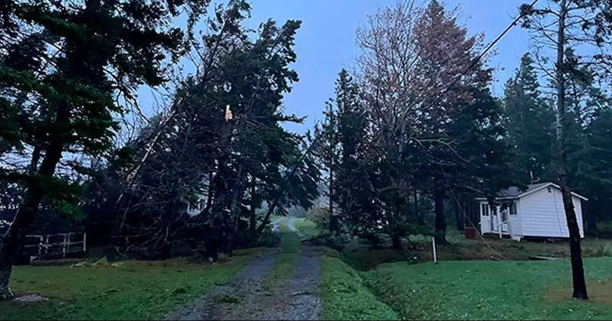 Medio millÃ³n de personas sin electricidad en CanadÃ¡ tras la llegada de â€˜Fionaâ€™