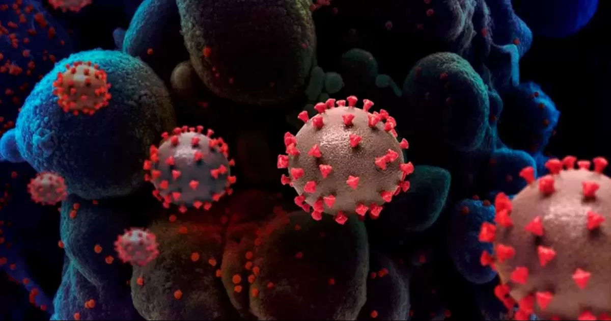 Tiene Coahuila 4 nuevos contagios de COVID-19, uno es en Piesras Negras