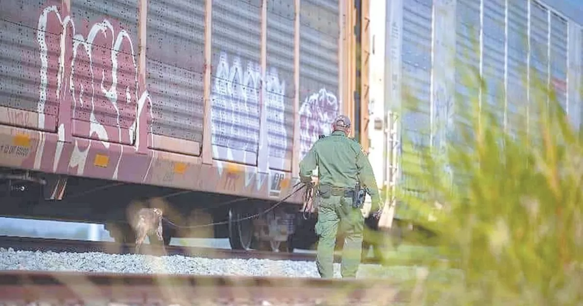 Hallan en un vagón a 21 indocumentados