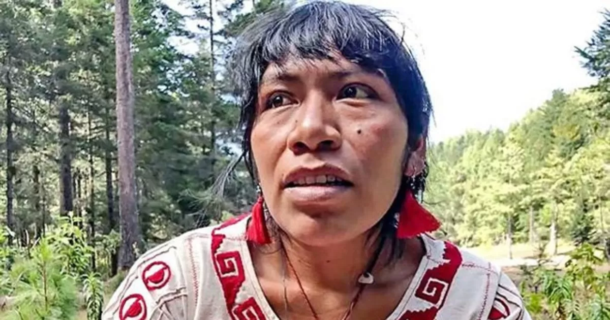 Los ataques por conflictos de la tierra y la minerÃ­a ocurrieron principalmente en Oaxaca y Sonora