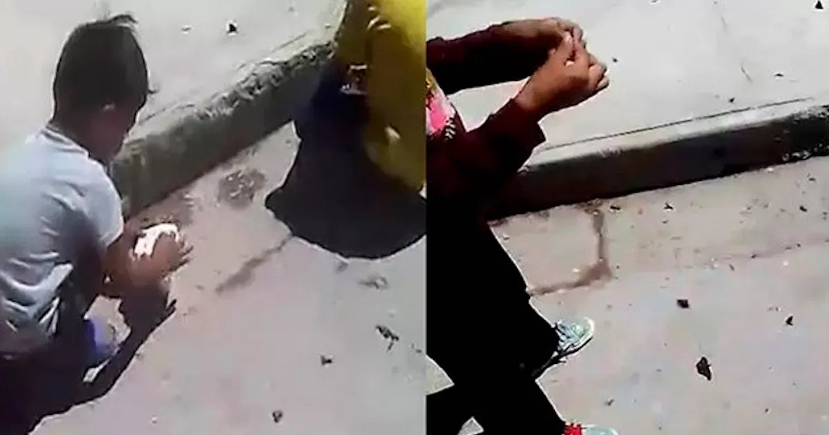 Tras la llegada de mariposas a Coahuila, niños juegan con ellas y las matan