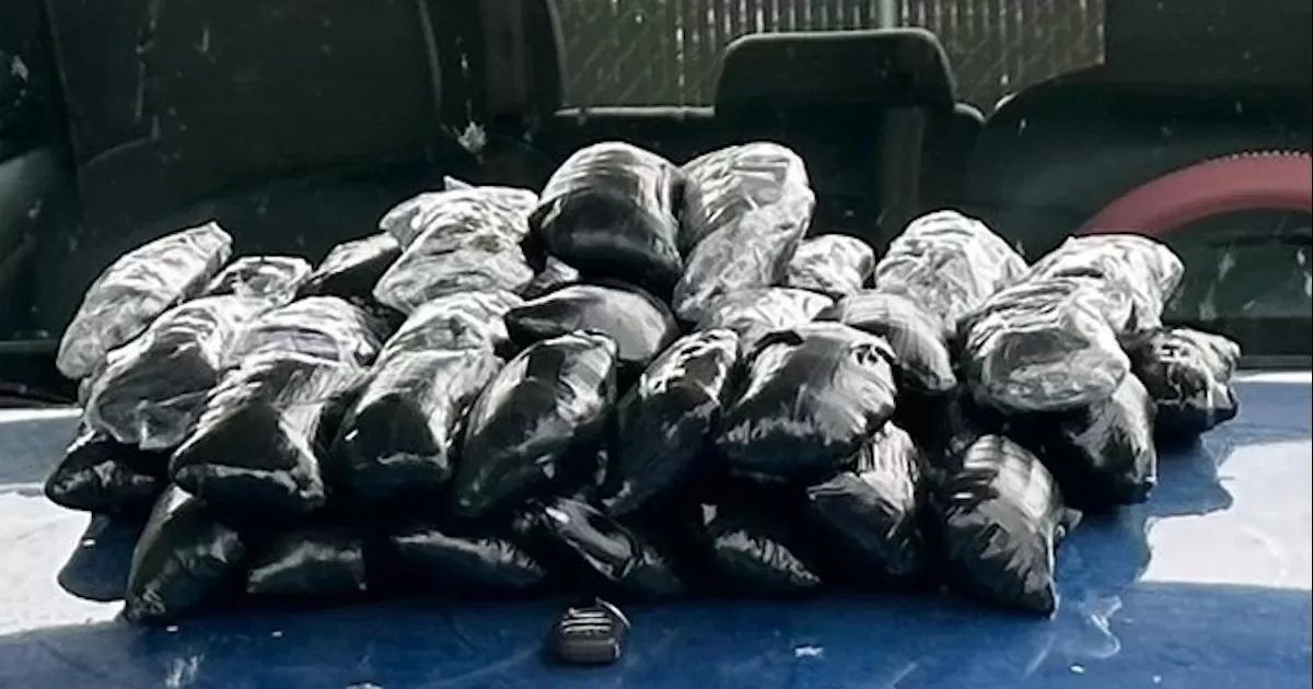 De acuerdo con la directora del puerto fronterizo, Elizabeth GarduÃ±o, el decomiso ocurriÃ³ el pasado 2 de octubre