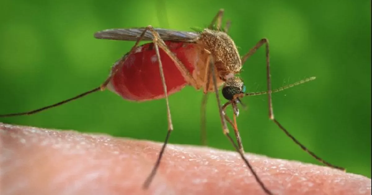 La paciente refiere que iniciÃ³ el padecimiento el pasado 26 de agosto y presentÃ³ sÃ­ntomas