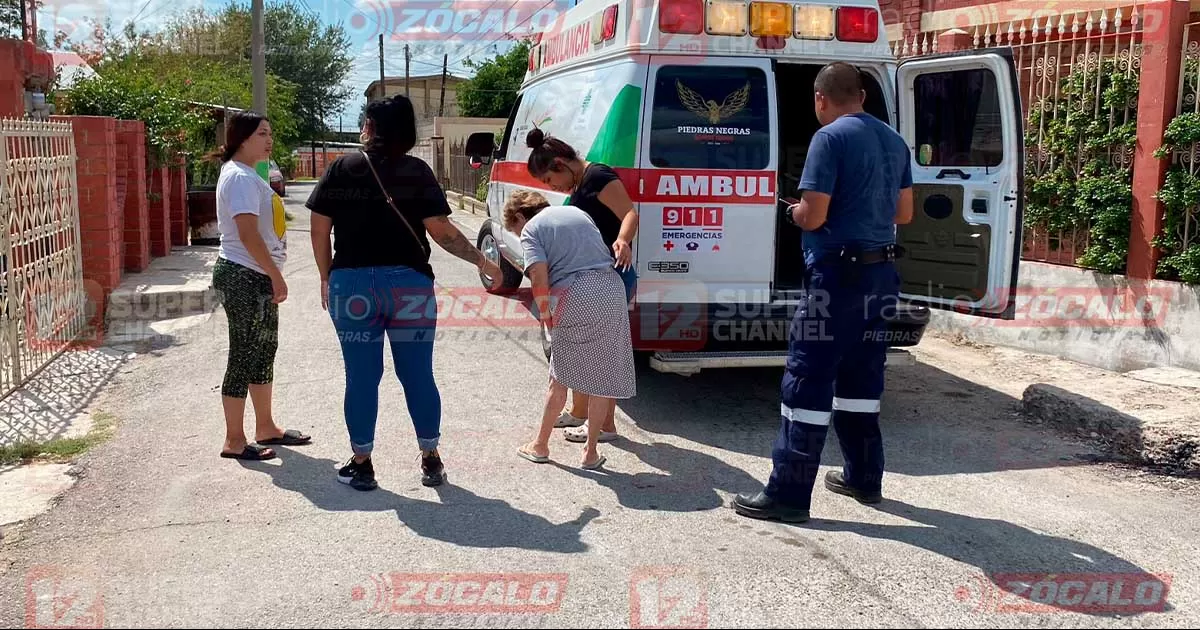 La afectada no pudo reconocer las razas de los perros que la atacaron, pues en su desesperaciÃ³n lo Ãºnica que intentaba era salvarse.