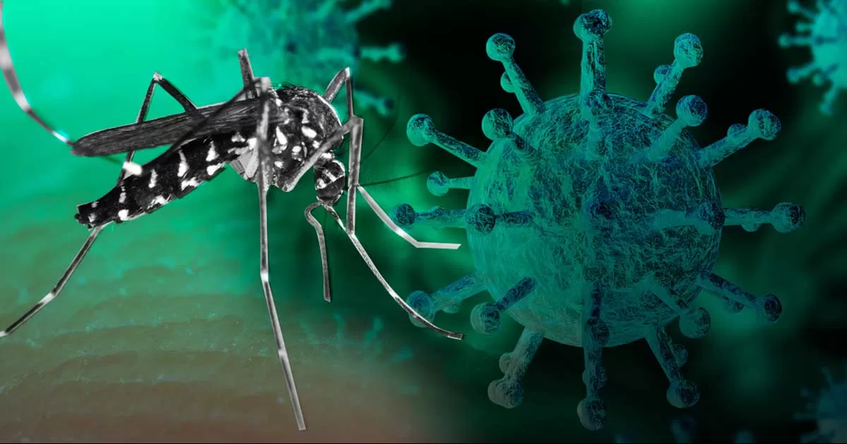 El doctor Moscoso GonzÃ¡lez comentÃ³ que tres de los casos de Dengue estÃ¡n clasificados como del tipo grave.