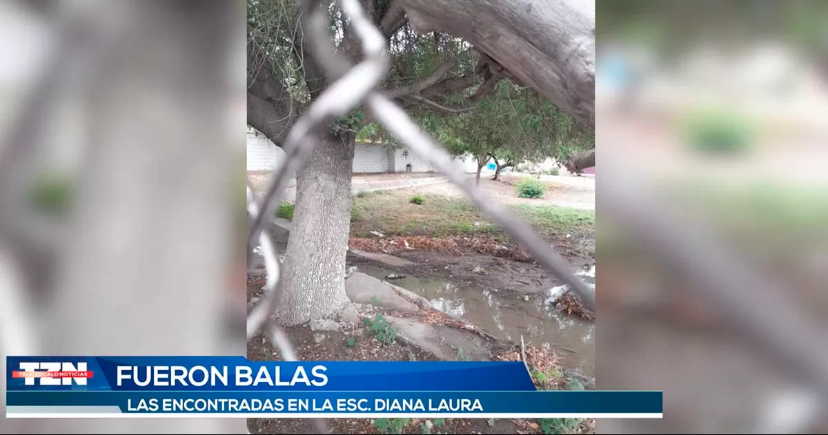 Padres de familia encontraron los objetos en los terrenos de la escuela cuando realizaban actividades de deshierbe en el patio del plantel