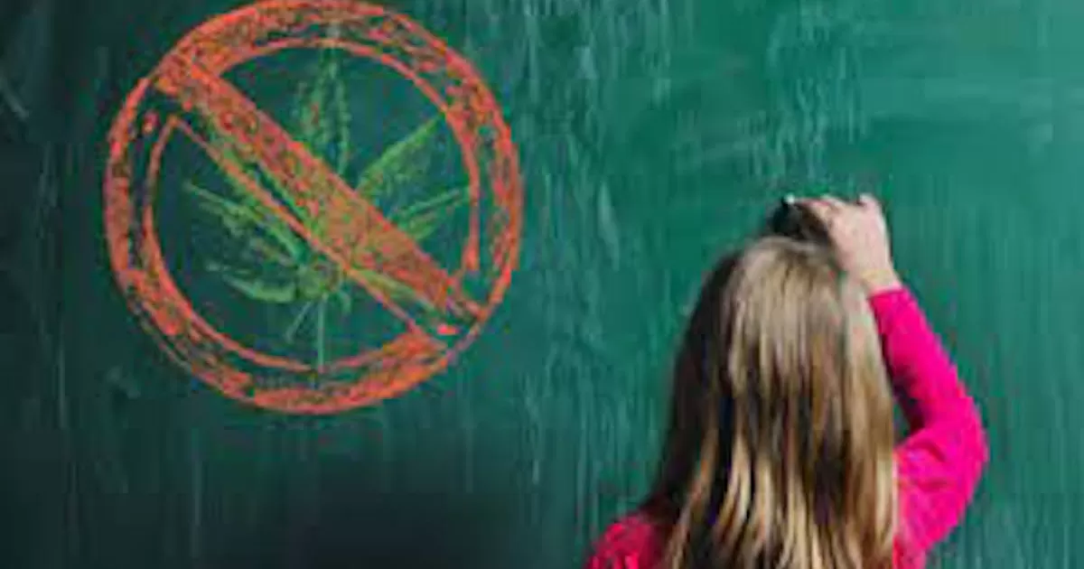 Se llevan plÃ¡ticas y conferencias a jÃ³venes estudiantes para que sean consientes del daÃ±o que provocan las adicciones.