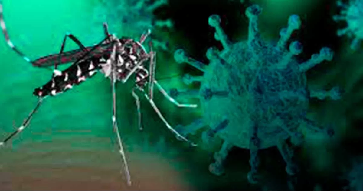 PN ya tiene cifras que la ubican a la altura de un brote de Dengue, advierte Jurisdicción Sanitaria