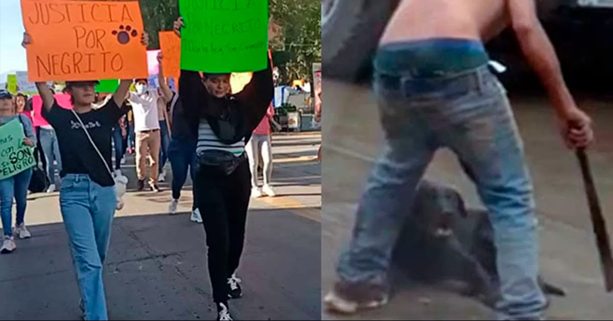 Manifestantes reclamaron a las autoridades dar con el paradero del sujeto que agrediÃ³ con machete al perrito y exigir justicia.