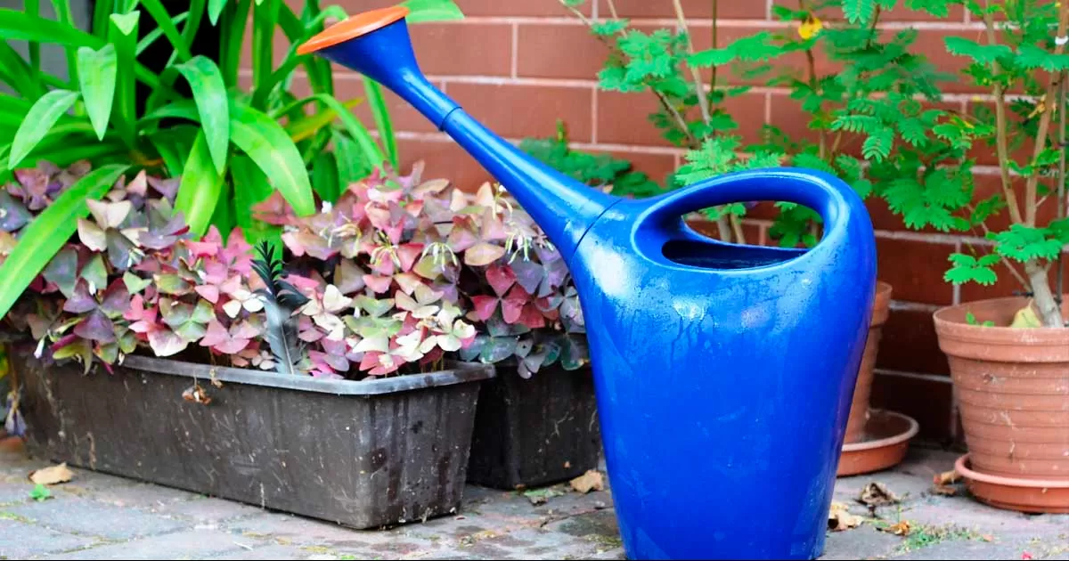 Estudiantes de varias universidades recibieron una serie de conferencias sobre la importancia del cuidado del agua