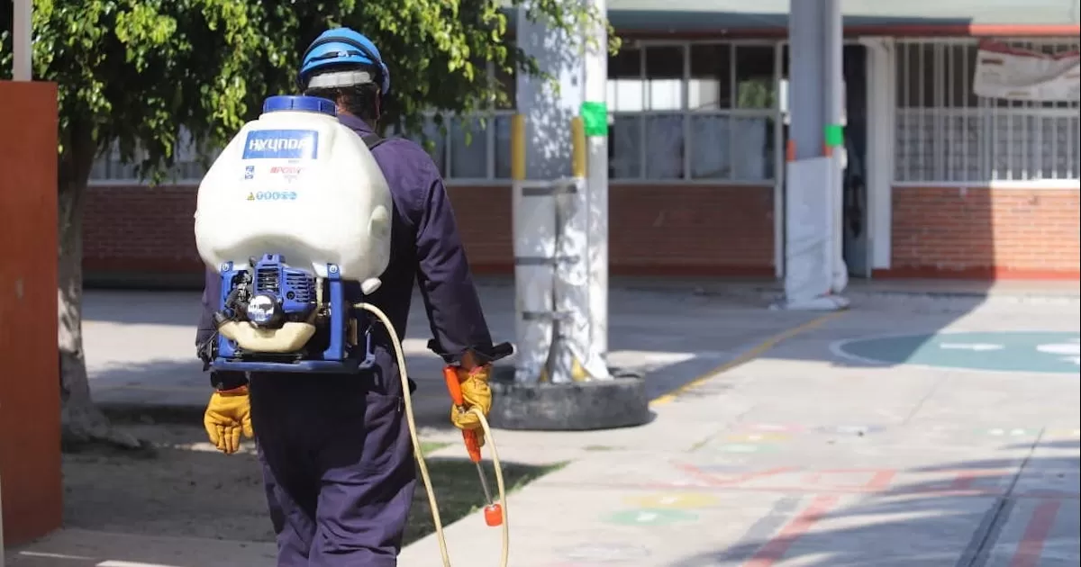 La primaria JosÃ© Manuel Maldonado y la Diana Laura Riojas ya han sido fumigadas.