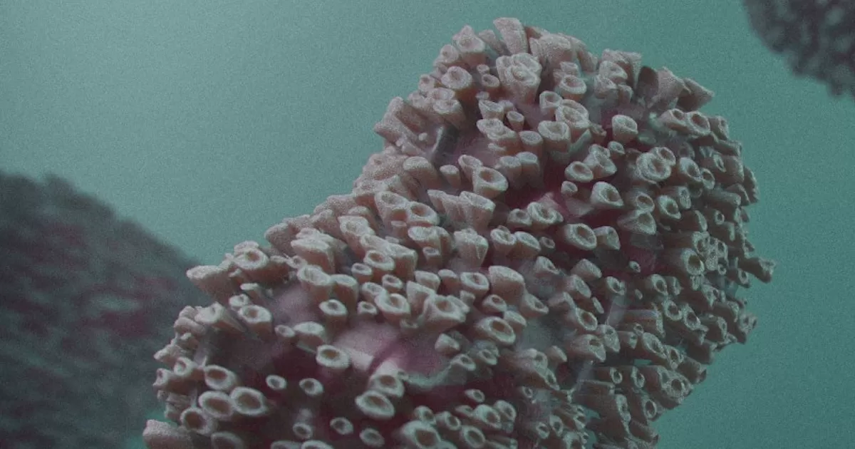 OMS mantiene nivel de alerta máxima para viruela del mono