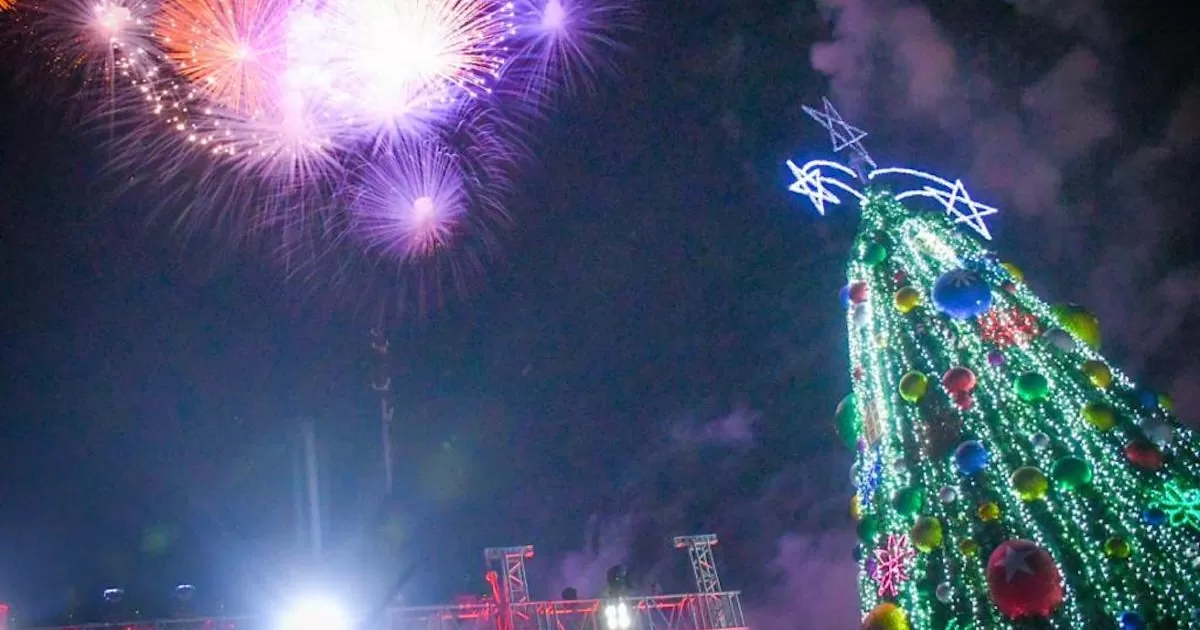 El Pino Monumental se instalarÃ¡ frente al Santuario de Guadalupe.