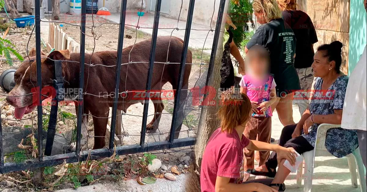 La vÃ­ctima describiÃ³ cÃ³mo el animal se le tirÃ³ encima y buscaba morderla en el cuello, pero con ayuda de los vecinos logrÃ³ quitÃ¡rselo de encima