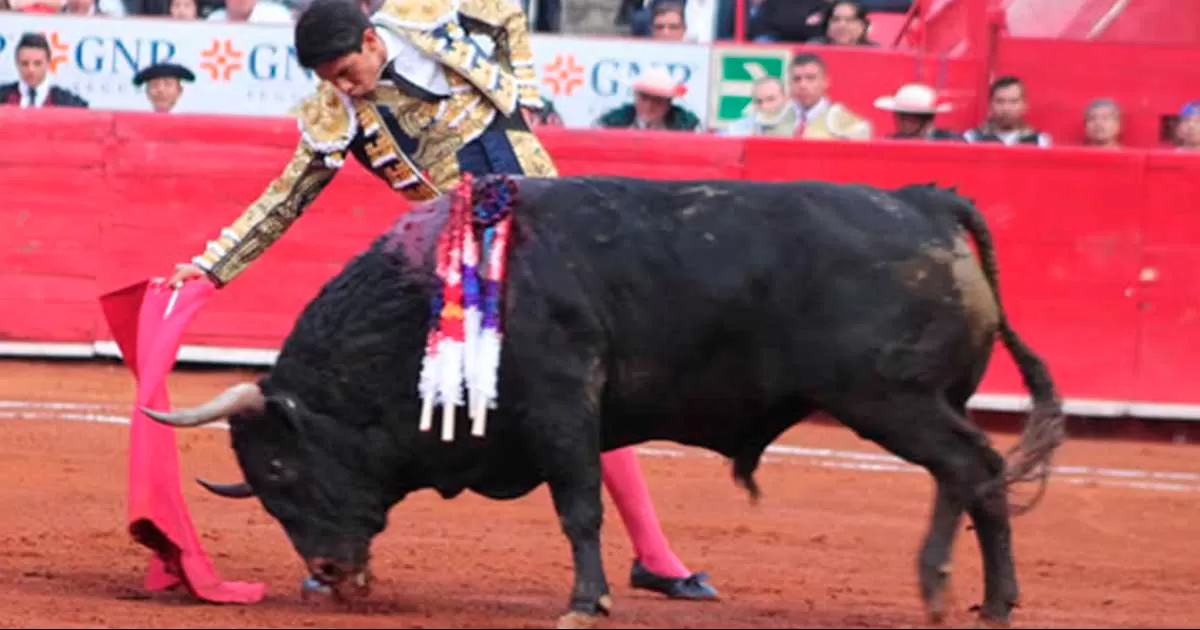 Reducida pero interesante la Jornada Taurina para esta Semana