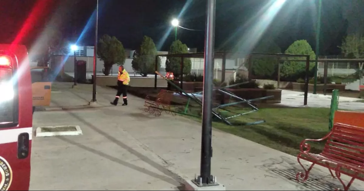 Se les resguarda y se les da alimento por las bajas temperaturas